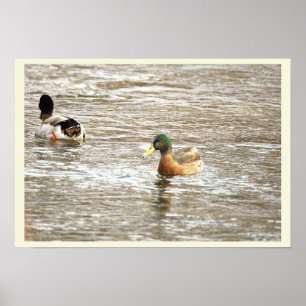 Ankor i Icy Creek-affisch Poster