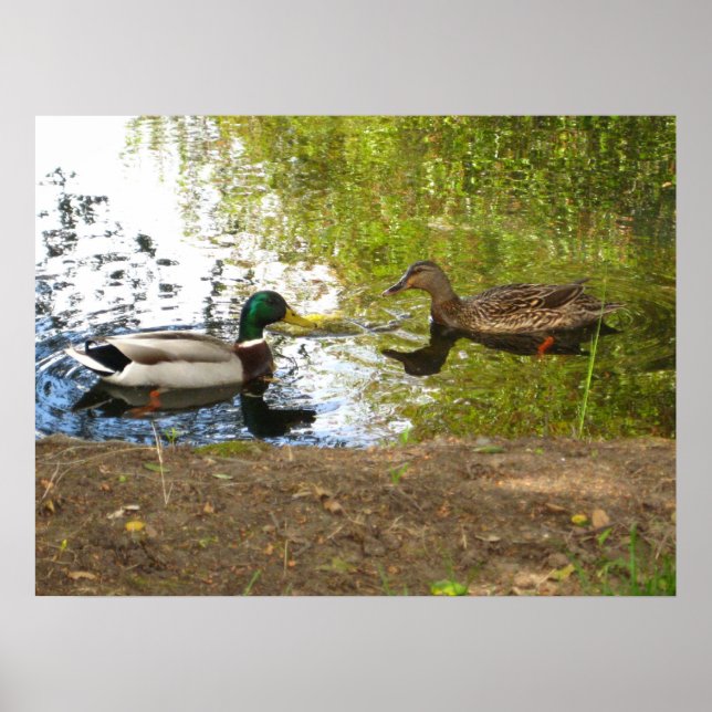 "Ankor i Kärlek" Poster (Framsidan)