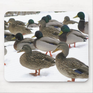 Ankor! Mousepad Musmatta