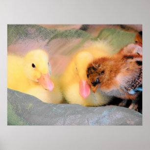 Ankor och Chick av Tecknad Poster