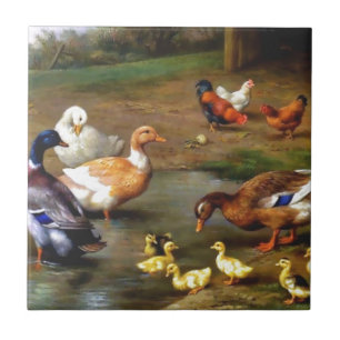 Ankor och ducklings kakelplatta