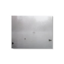 Ankor på en skugga sjö