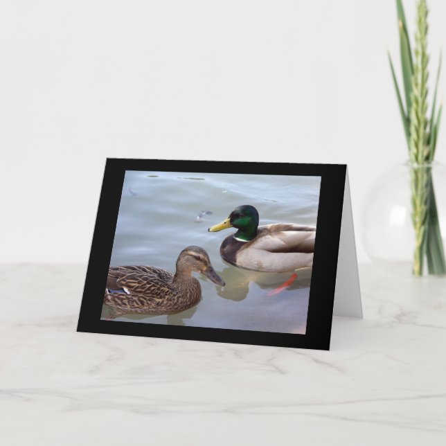 Ankor på ett dammkort kort (Framsida)