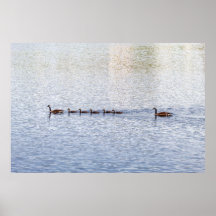 Ankor på Glen Sjö Poster
