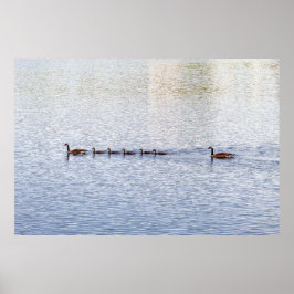 Ankor på Glen Sjö Poster