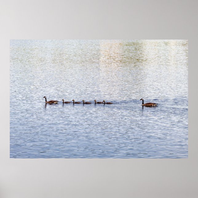 Ankor på Glen Sjö Poster (Framsidan)
