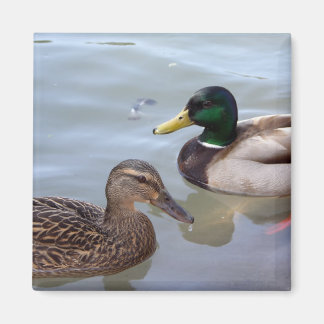 Ankor på Pond Magnet