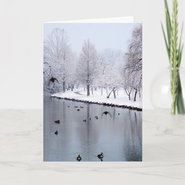 Ankor på The Creek Kort (Framsida)