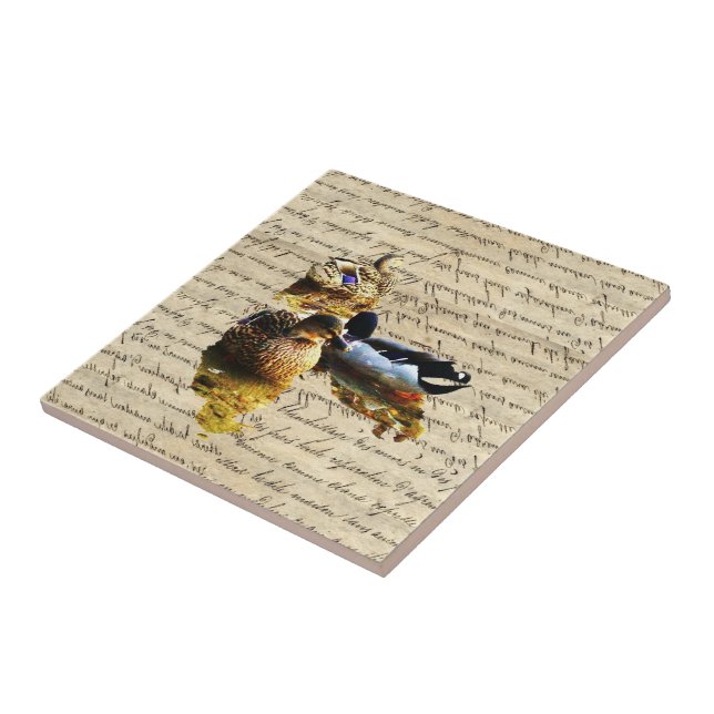 Ankor på vintage papper kakelplatta (Sidan)