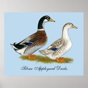 Ankor: Silver Appleyard Poster