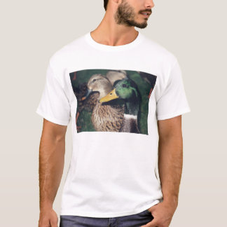 ankor tee