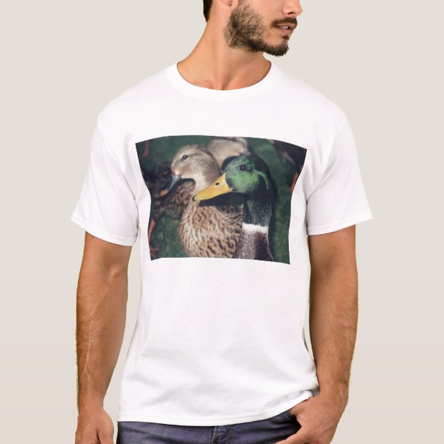 ankor tee shirt (Framsida)