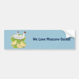 Ankor Vitt Muscovy Familj Bildekal