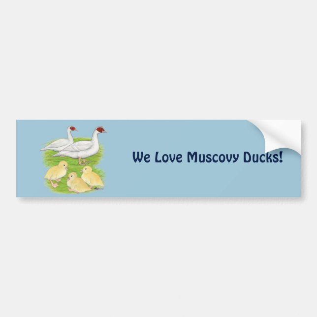 Ankor Vitt Muscovy Familj Bildekal (Framsidan)