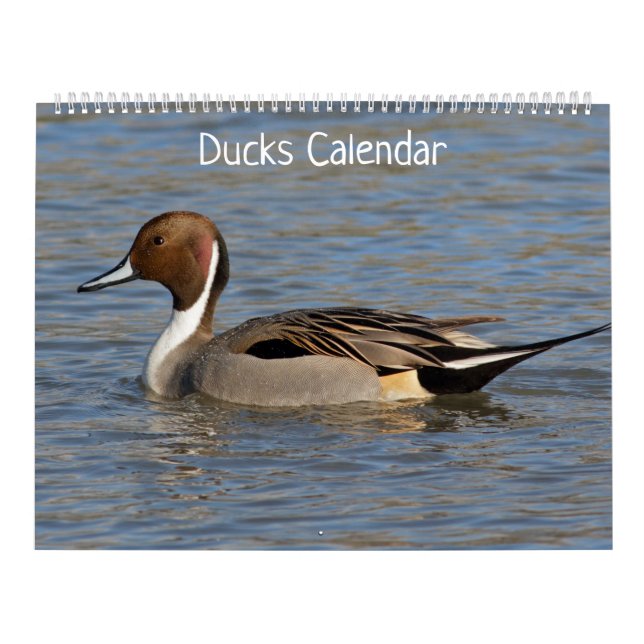 Ankors kalender (Omslag)
