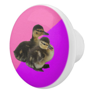 Ankungar på rosa hallon och lila sorbet knopp
