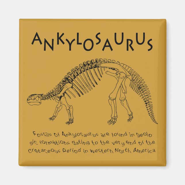 Ankylosaurus Magnet (Framsidan)