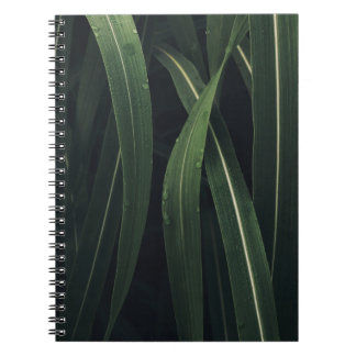 ANLÄGGNING AV GRÖNT ANTECKNINGSBOK