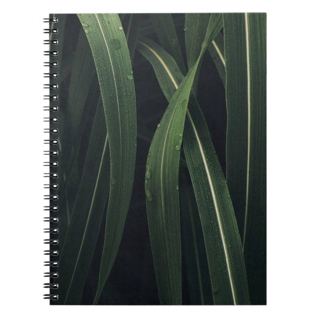 ANLÄGGNING AV GRÖNT ANTECKNINGSBOK (Framsidan)