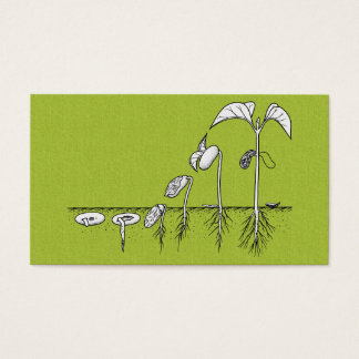Anläggning Germination Illustration Visitkort