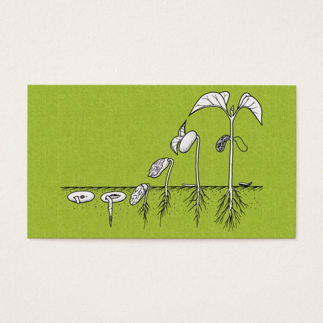 Anläggning Germination Illustration Visitkort (Framsidan)