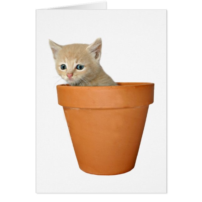 Anläggning i kärlek hälsningskort (Framsidan)