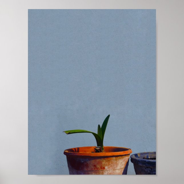 Anläggning i Pot Poster (Framsidan)