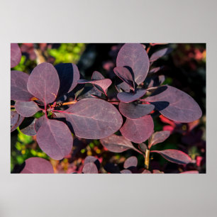 Anläggning med röda mörkar poster