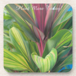 Anläggning mer underlägg