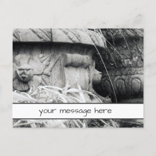 Anläggning Pots Tidigt Vår Black White Anpassnings Vykort