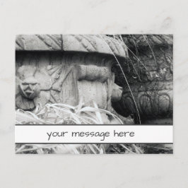 Anläggning Pots Tidigt Vår Black White Anpassnings Vykort