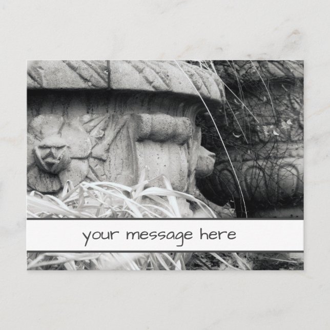 Anläggning Pots Tidigt Vår Black White Anpassnings Vykort (Framsida)