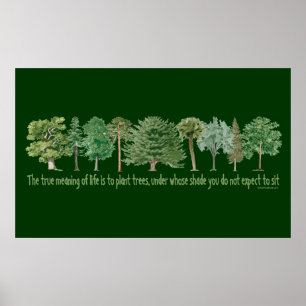 Anläggning Träd Poster