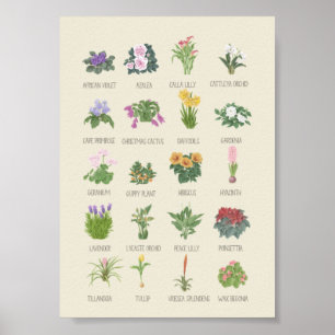 Anläggningar för inomhusbruk + Namn Gardener Plant Poster