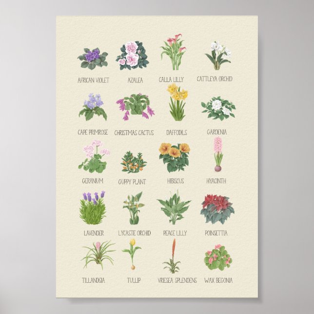 Anläggningar för inomhusbruk + Namn Gardener Plant Poster (Framsidan)