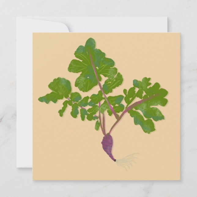  anläggningar för lantbrukare, Radish Turnips (Framsida)