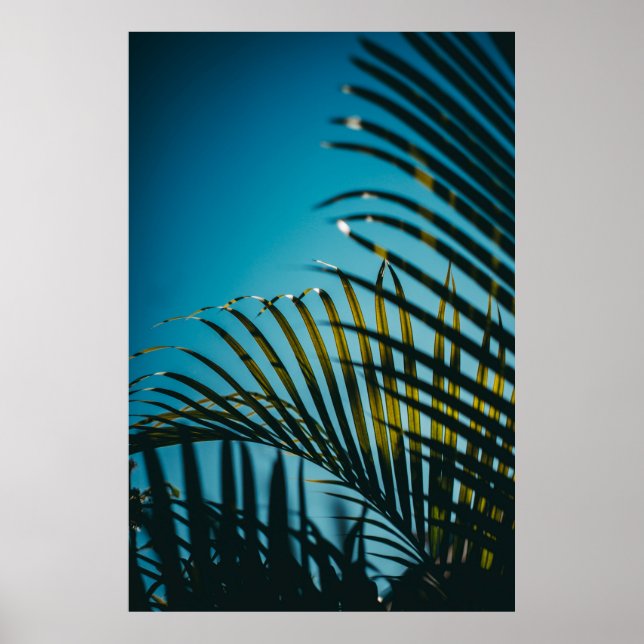 Anläggningen grönt handflatan under blå himmel på  poster (Framsidan)