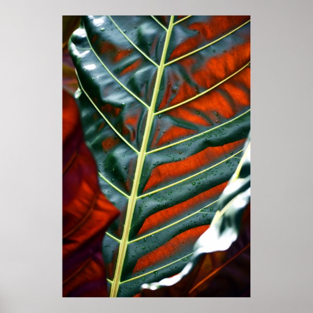 Anläggningen grönt löv poster (Framsidan)