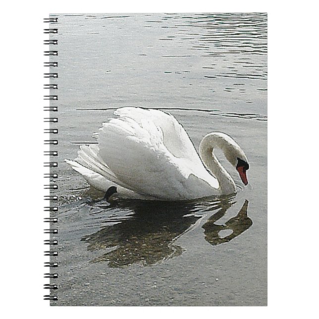 Anm. bok, vit svan, reflekterande i grått vatten anteckningsbok med spiral (Framsidan)