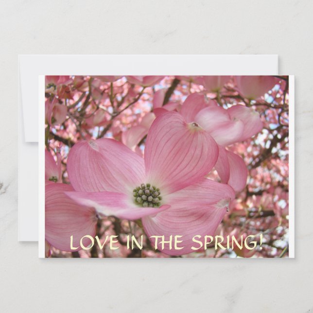 Anmälningskort för Dogwood Flowers Inbjudningar (Framsida)