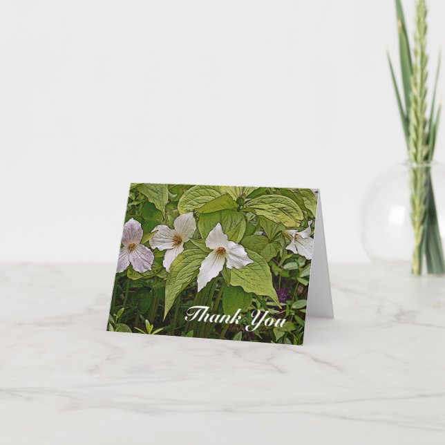 ANMÄRKKORT/TRILLIUM/FOTOG./DIG.MANIP/PAINTERLY EFF KORT (Framsida)