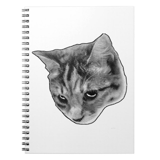 Anmärkningar under bevakad Ögon Anteckningsbok (Framsidan)