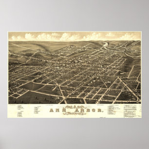 Ann Arbor Birdseye Karta Poster