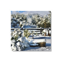 Ann Charles Snowy Day i Arizona