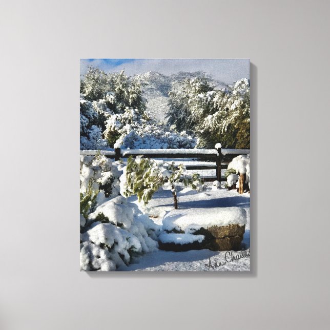 Ann Charles Snowy Day i Arizona Canvastryck (Framsida)