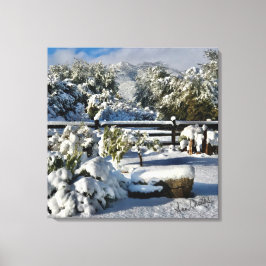 Ann Charles Snowy Day i Arizona Canvastryck