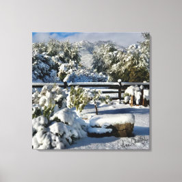 Ann Charles Snowy Day i Arizona Canvastryck