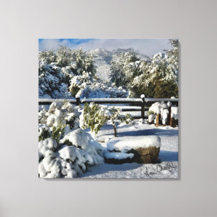Ann Charles Snowy Day i Arizona Canvastryck
