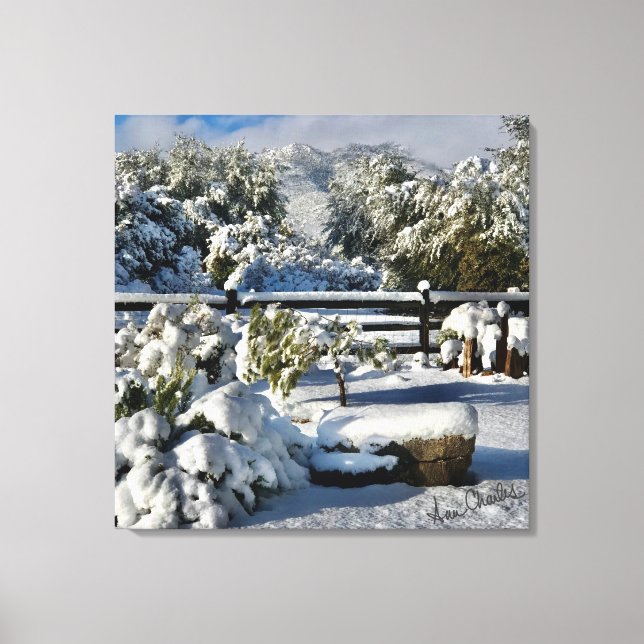 Ann Charles Snowy Day i Arizona Canvastryck (Framsida)