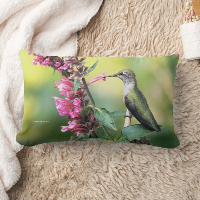 Anna är Hummingbird på Anise Hyssop Flowers Lumbarkudde (Filt)